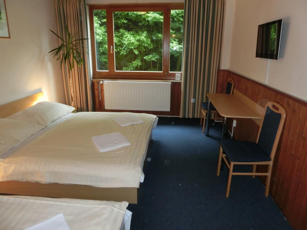 Parkhotel Harrachov Rum bild